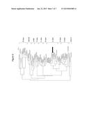 Expression of SEP-like Genes for Identifying and Controlling Palm Plant     Shell Phenotypes diagram and image