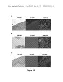 Method and System for Automated Image Analysis in Cancer Cells diagram and image