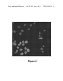 Method and System for Automated Image Analysis in Cancer Cells diagram and image