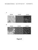 Method and System for Automated Image Analysis in Cancer Cells diagram and image