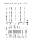 Method and System for Automated Image Analysis in Cancer Cells diagram and image