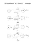 Compounds and Methods for Use in Detecting Gabapentin diagram and image