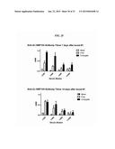 Dock-and-Lock (DNL) Complexes for Therapeutic and Diagnostic Use diagram and image