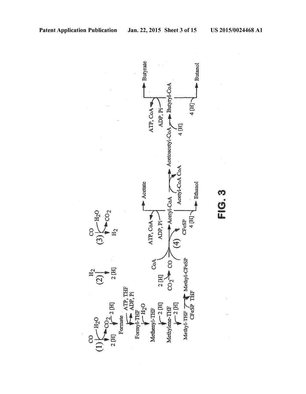 METHODS AND ORGANISMS FOR UTILIZING SYNTHESIS GAS OR OTHER GASEOUS CARBON     SOURCES AND METHANOL - diagram, schematic, and image 04