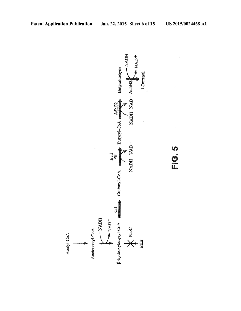 METHODS AND ORGANISMS FOR UTILIZING SYNTHESIS GAS OR OTHER GASEOUS CARBON     SOURCES AND METHANOL - diagram, schematic, and image 07