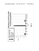 Antibody Inhibitors of GDF-8 and Uses Thereof diagram and image