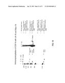 Antibody Inhibitors of GDF-8 and Uses Thereof diagram and image