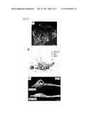 NEURONAL CULTURE MEDIUM AND METHOD FOR PRODUCING IN VIVO-LIKE AND ENHANCED     SYNAPTOGENESIS NEURON MODEL diagram and image