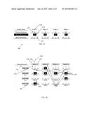 METHOD, SYSTEM AND PROGRAM PRODUCT FOR CONTESTS INVOLVING PREDICTION OF     DECIMALS diagram and image