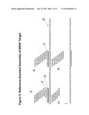 SYSTEMS AND METHODS FOR SEQUENCING IN EMULSION BASED MICROFLUIDICS diagram and image