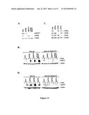 Methods of Identifying Modulators of Dephosphorylation of Histone     Deacetylase diagram and image