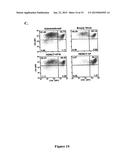 Methods of Identifying Modulators of Dephosphorylation of Histone     Deacetylase diagram and image