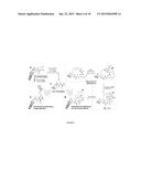 METHOD OF QUANTIFYING PEPTIDE-DERIVATIVE LIBRARIES USING PHAGE DISPLAY diagram and image