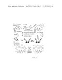 METHOD OF QUANTIFYING PEPTIDE-DERIVATIVE LIBRARIES USING PHAGE DISPLAY diagram and image