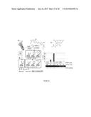 METHOD OF QUANTIFYING PEPTIDE-DERIVATIVE LIBRARIES USING PHAGE DISPLAY diagram and image