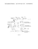 METHOD OF QUANTIFYING PEPTIDE-DERIVATIVE LIBRARIES USING PHAGE DISPLAY diagram and image