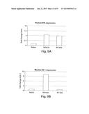 METHODS AND COMPOSITIONS FOR IDENTIFICATION, ASSESSMENT AND TREATMENT OF     CANCERS ASSOCIATED WITH HEDGEHOG SIGNALING diagram and image