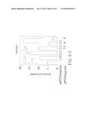 METHOD FOR INHIBITING euPTX3 TO TREAT NASOPHARYNGEAL CARCINOMA BY AMINO     ACID SEQUENCE diagram and image