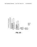 METHODS FOR ENHANCING, IMPROVING, OR INCREASING FERTILITY OR REPRODUCTIVE     FUNCTION diagram and image