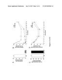 Antiparkinsonian Action of Phenylisopropylamines diagram and image