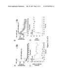 Antiparkinsonian Action of Phenylisopropylamines diagram and image