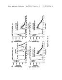 Antiparkinsonian Action of Phenylisopropylamines diagram and image