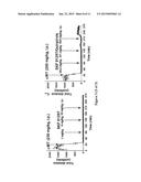 Antiparkinsonian Action of Phenylisopropylamines diagram and image