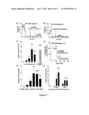 Antiparkinsonian Action of Phenylisopropylamines diagram and image