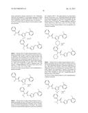 MODULATORS OF ATP-BINDING CASSETTE TRANSPORTERS diagram and image