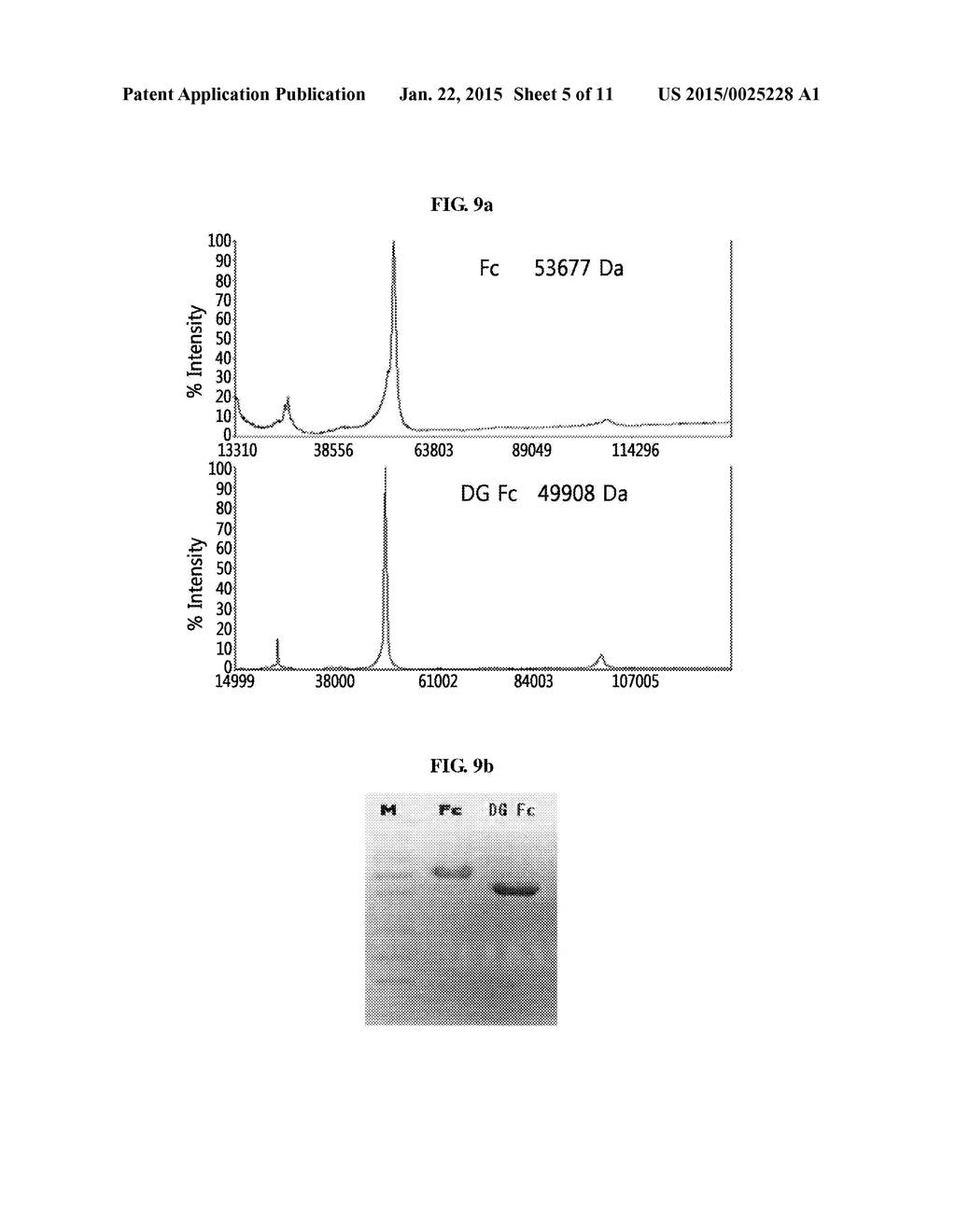 IGG FC FRAGMENT FOR A DRUG CARRIER AND METHOD FOR THE PREPARATION THEREOF - diagram, schematic, and image 06