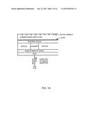 SPINAL CANAL ACCESS AND PROBE POSITIONING, DEVICES AND METHODS diagram and image