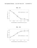 APPARATUS AND METHOD FOR COMBINED PHOTOACOUSTIC AND ULTRASOUND DIAGNOSIS diagram and image