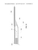 ENDOVENTRICULAR INJECTION CATHETER SYSTEM WITH INTEGRATED     ECHOCARDIOGRAPHIC CAPABILITIES diagram and image