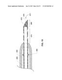 ENDOVENTRICULAR INJECTION CATHETER SYSTEM WITH INTEGRATED     ECHOCARDIOGRAPHIC CAPABILITIES diagram and image