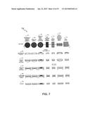 ULTRASOUND TREATMENT DEVICE AND METHODS OF USE diagram and image