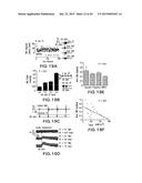 Methods and Devices for Modulating Cellular Activity Using Ultrasound diagram and image