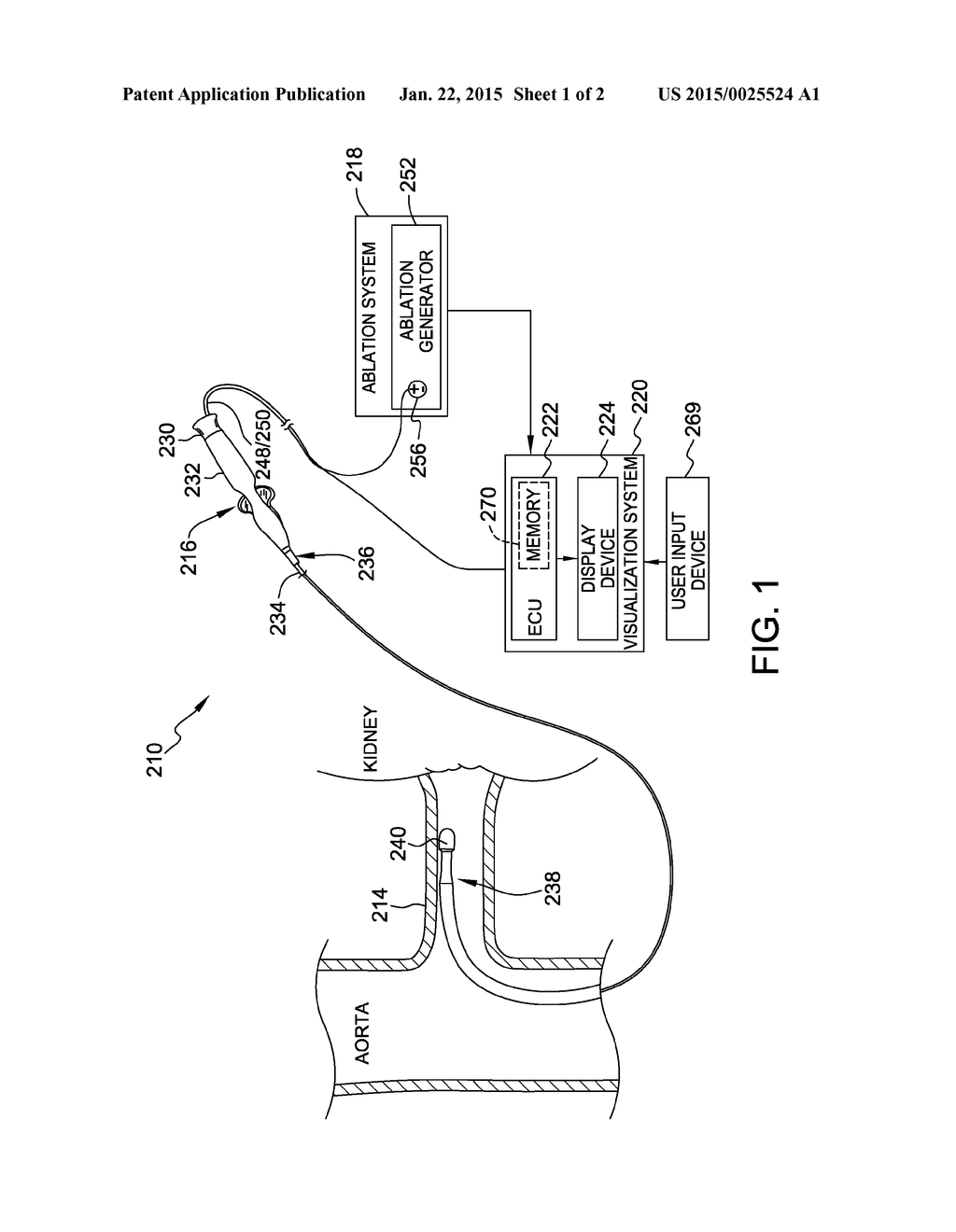 RENAL DENERVATION MONITORING AND FEEDBACK APPARATUS, SYSTEM AND METHOD - diagram, schematic, and image 02