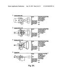 NEAR-INFRARED ENHANCEMENT OF CIRCADIAN AND ULTRADIAN SPATIOTEMPORAL     CELLULAR COORDINATION diagram and image