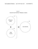 SYSTEM AND METHOD FOR PREDICTING CONSUMER CREDIT RISK USING INCOME RISK     BASED CREDIT SCORE diagram and image