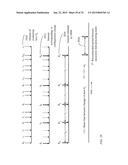 DYNAMIC PROVISIONING OF PROTECTION SOFTWARE IN A HOST INTRUSION PREVENTION     SYSTEM diagram and image