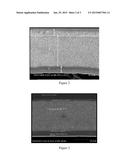 Carbon Nanotube Composite Membrane diagram and image