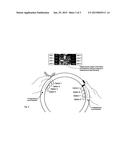 FIELD ANALYSIS FOR FLEXIBLE COMPUTER INPUTS diagram and image