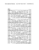 SHIFT REGISTER, DRIVER CIRCUIT AND DISPLAY DEVICE diagram and image