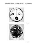 ANTIMICROBIAL MATERIAL COMPRISING A METAL ION CHARGED ON SYNTHESIZED     ZEOLITE diagram and image