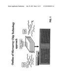 COMPOSITIONS AND METHODS FOR THE DETECTION DIAGNOSIS AND THERAPY OF     HEMATOLOGICAL MALIGNANCIES diagram and image