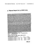 COMPOSITIONS AND METHODS FOR THE DETECTION DIAGNOSIS AND THERAPY OF     HEMATOLOGICAL MALIGNANCIES diagram and image