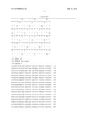 COMPOSITIONS AND METHODS FOR THE DETECTION DIAGNOSIS AND THERAPY OF     HEMATOLOGICAL MALIGNANCIES diagram and image