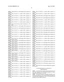 COMPOSITIONS AND METHODS FOR THE DETECTION DIAGNOSIS AND THERAPY OF     HEMATOLOGICAL MALIGNANCIES diagram and image