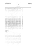 COMPOSITIONS AND METHODS FOR THE DETECTION DIAGNOSIS AND THERAPY OF     HEMATOLOGICAL MALIGNANCIES diagram and image