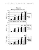 Cancer Therapy with a Parvovirus Combined with an HDAC Inhibitor diagram and image